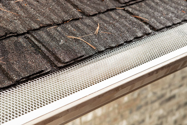 Gutter Guard Installation Services