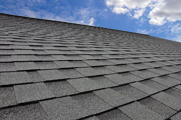Roof Replacement Services