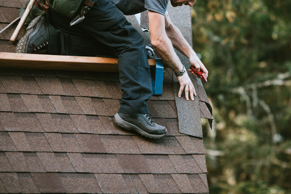 Learn More About Roof Repair Services