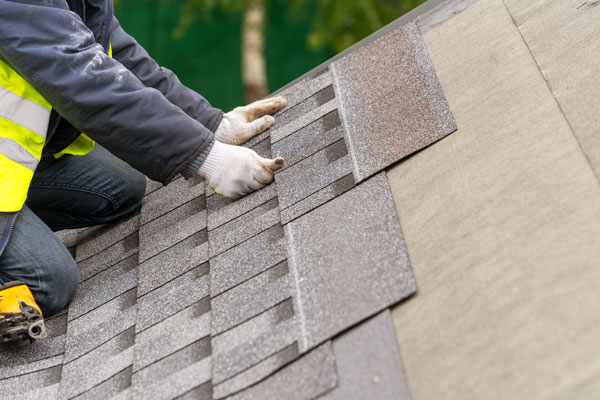 Learn More About Roofing Services