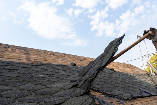 Learn More About Storm Damage Services
